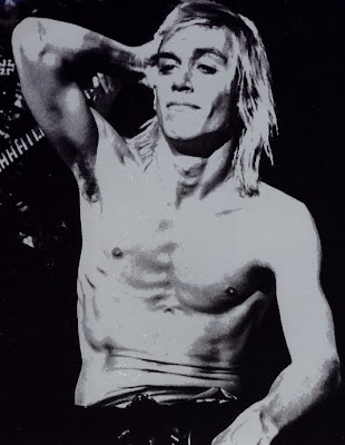 iggy, iggy pop, the stooges, stooges, rock, punk, music, photo