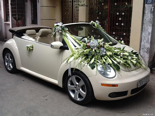 Xe cưới VolkWagen Beetle mui trần