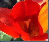 DSC00041