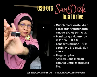 usb otg sandisk dual drive