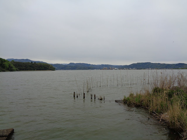 東郷湖の風景