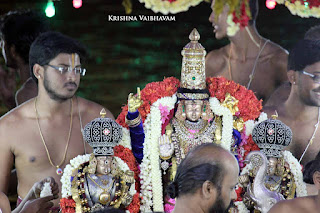 Sri Gajendra Varadhar,GAjendra Moksham, Theppam, Theppotsavam,  Maasi , Purappadu,  Trplicane,  Purappadu, Thiruvallikeni, Utsavam, 