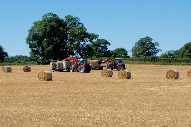 two tractors in a field