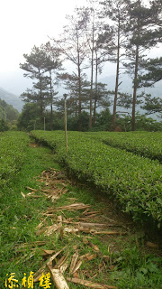 採用人工除草，沒有噴除草劑