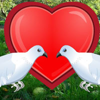 G2R Trapped Love Dove