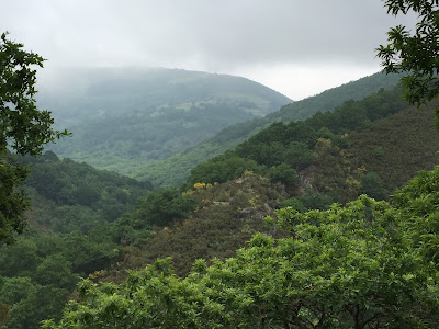 Spain, Marronda forest and the Eo River   by E.V.Pita (2015)  http://evpita.blogspot.com/2015/06/spain-marronda-forest-and-eo-river.html   Fraga de Marronda - río Eo (Baleira, Lugo)  por E.V.Pita (2015)