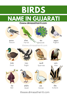 20 Karbi birds name list