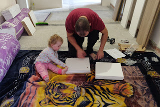 Rosie helps me assemble book cases