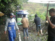 Babinsa Modayag Bersama Warga Singkirkan Pohon Tumbang