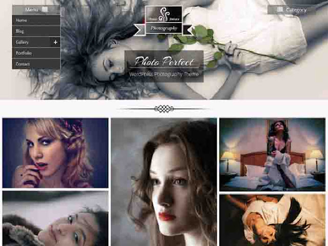 Photo Perfect WordPress Template Free Download