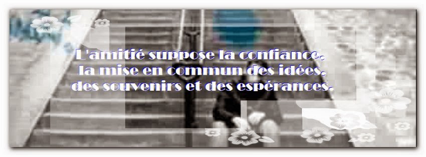 Poeme Amour Poesie Et Citations 21 Une Citation Amitie Deception