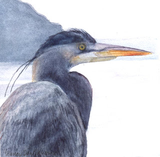 Great Blue Heron #1 -Nancy Van Blaricom