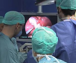 El Hígado En Cirugía
