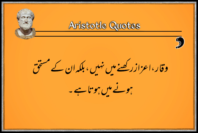 Aristotle quotes for Respect in urdu | respecting quotes