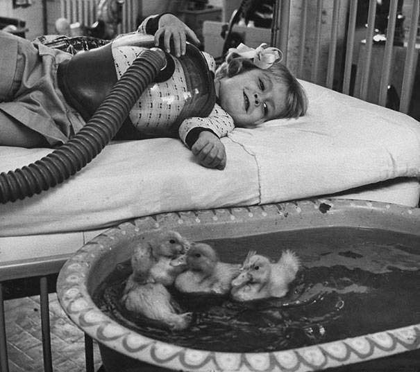 These 15 Incredibly Rare Historical Photos Will Leave You Speechless - Animals used to be involved in medical therapy as early as 1956.