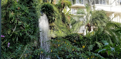 Beautiful indoor garden with waterfall