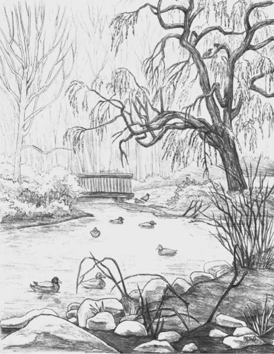 Drawing1: 6. Landscape Drawing- Kim Hunter