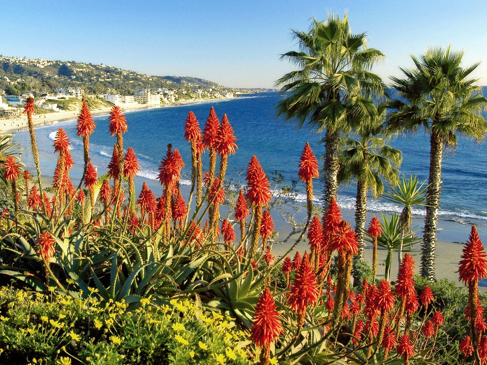 Laguna Beach, California, USA @ Beach Wallpaper Proudly Powered by ...