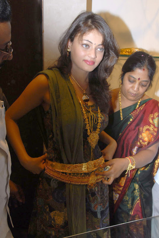 Sneha Ullal Latest Pics At Kubera Jewellery Launch film pics