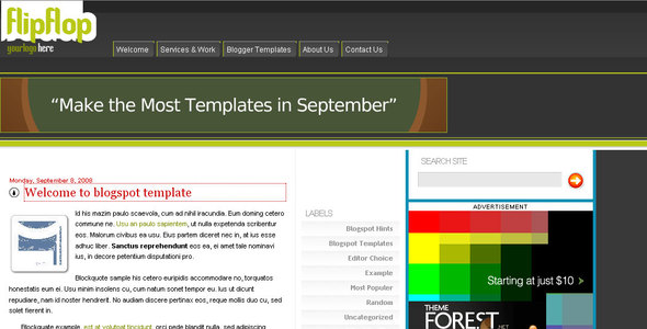 FlipFlop Blogger - Blogger Blogging