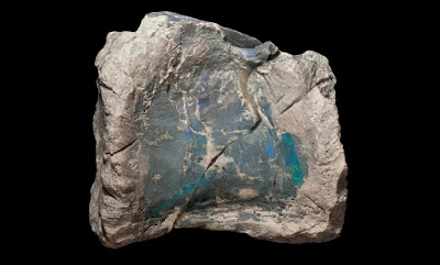 Herd of dinosaurs discovered in underground opal mine
