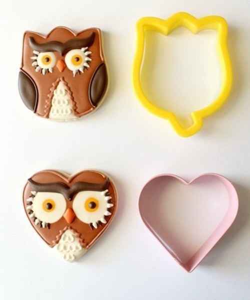 owl-everything-2