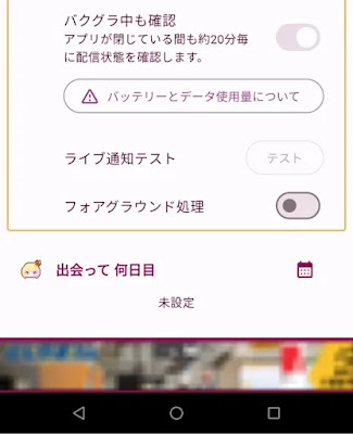 設定画面 (下部)