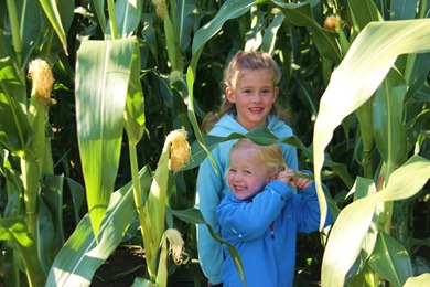 At the Pumpkin Patch in Snohomish.