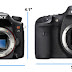 Comparing the Sony Alpha SLT-A77 to the Canon EOS 7D