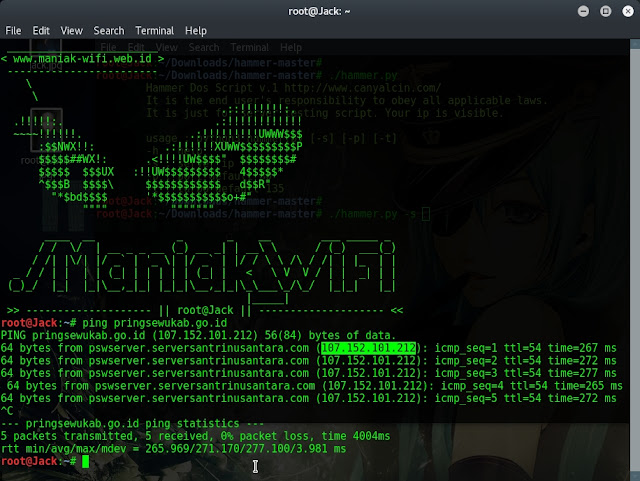 Cara DDoS dengan Hammer Script di Kali Linux
