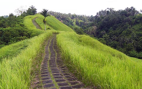 Backpacker Ke Bali dan bukit campuhan