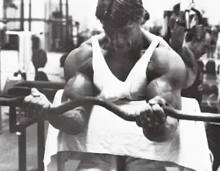 Arnold Schwarzenegger Arm Training