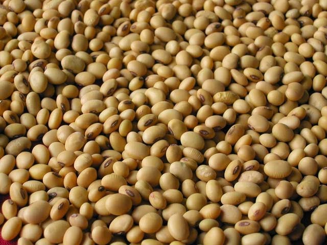 http://www.agriculture.com/news/crops/grain-prices-dip-despite-tighter-cn_2-ar46619