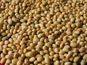 http://www.agriculture.com/news/crops/grain-prices-dip-despite-tighter-cn_2-ar46619