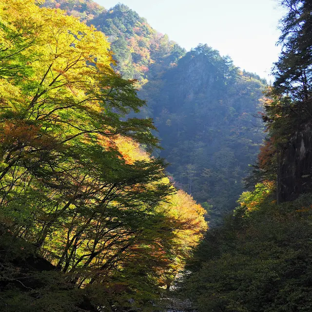 中津峡　紅葉