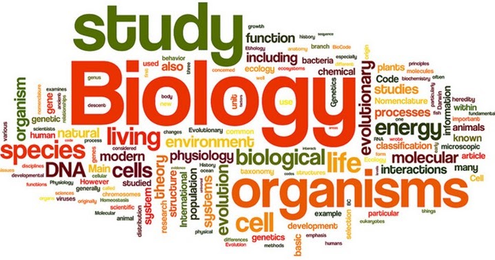 Soal dan Jawaban Ruang  Lingkup Biologi GURU  BIOLOGI