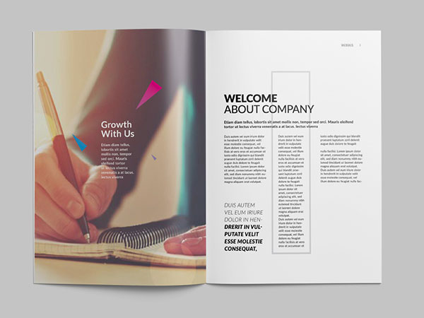 Inspirasi 20+ Desain Brosur dan Katalog Modern - Triangle Style Brochure Template