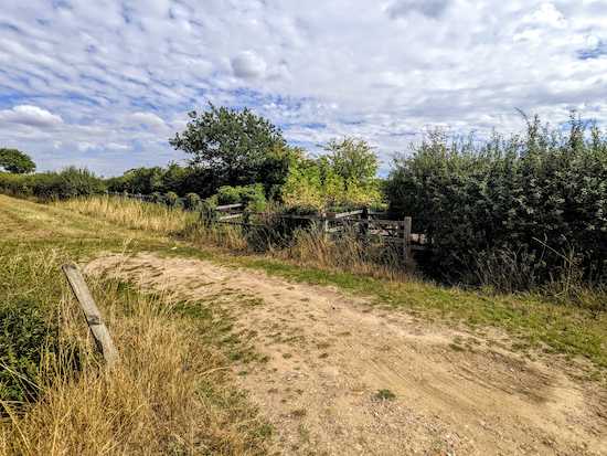 Little Hadham footpath 7 approaching New Road