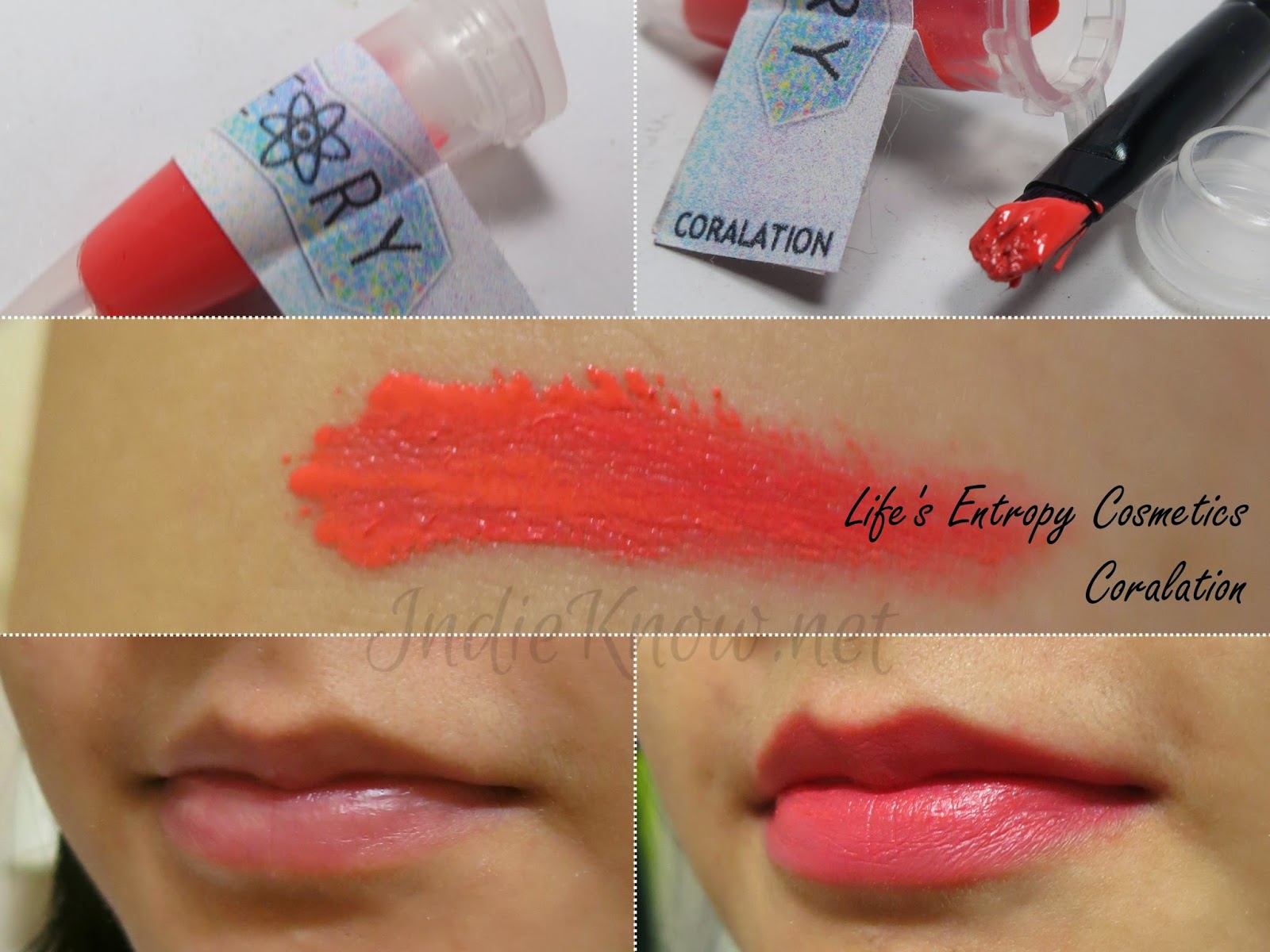 Life's Entropy Cosmetics Lip Theory Coralation