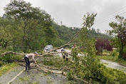 Respon cepat Kasat Lantas Bersihkan pohon tumbang