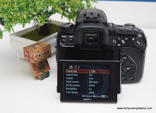 Jual Kamera Sony Alpha A500 Bekas - Banyuwangi