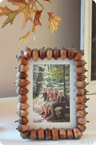 acorn frame