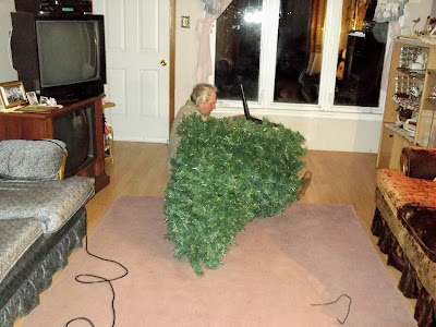 man adjusts christmas tree