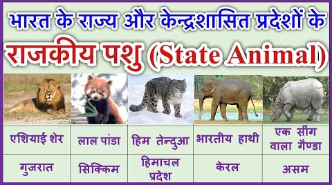 भारतीय राज्य के राजकीय पशुओं की सूची |(List of State Animals of India)