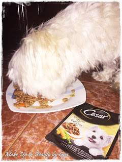 bolsitas cesar comida para perros