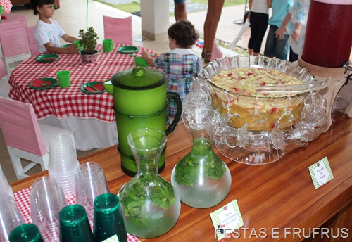 PIC NIC DO BRUNO 2012 (69)