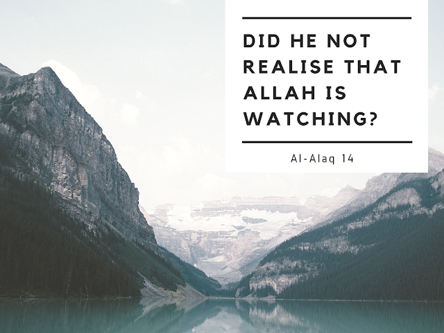 Did he not realise that Allah is watching?