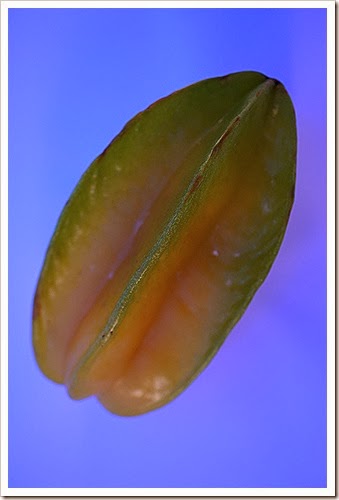 public-domain-pictures-star-fruit-1 (1617) public-domain-pictures-star-fruit-1 (1617)
