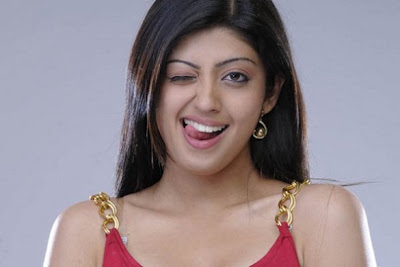 Pranitha Hot Actress Photos, Pranitha Telugu Actress Pics, Pranitha Hot Stills