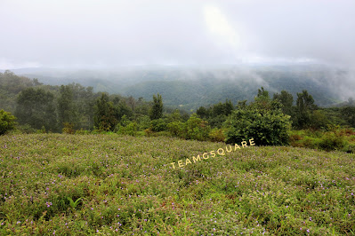 Pusphagiri forest Range, Kodagu
